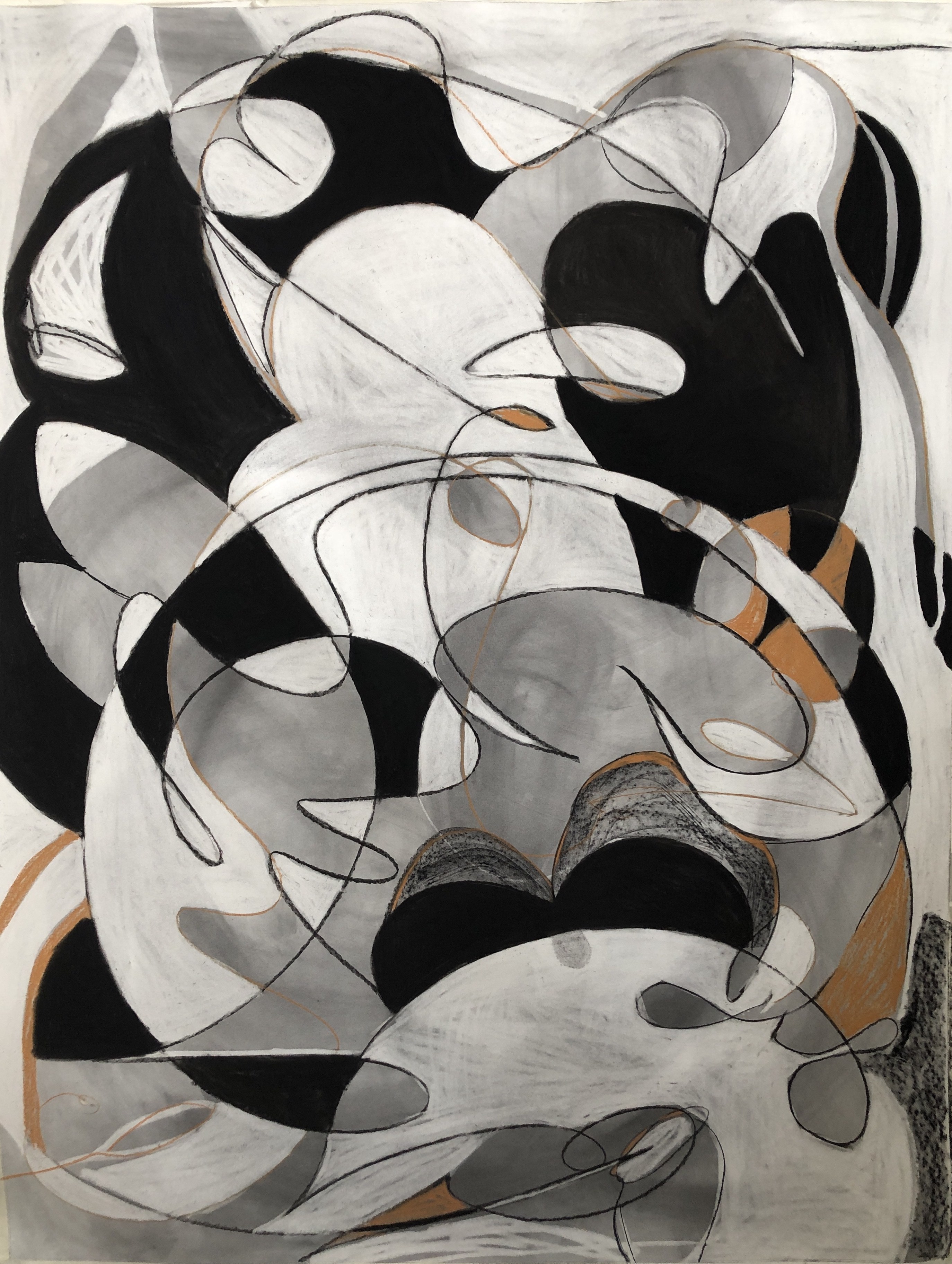 Gira Gira, 71 x 55 inches, charcoal and conte crayon on paper, 2019