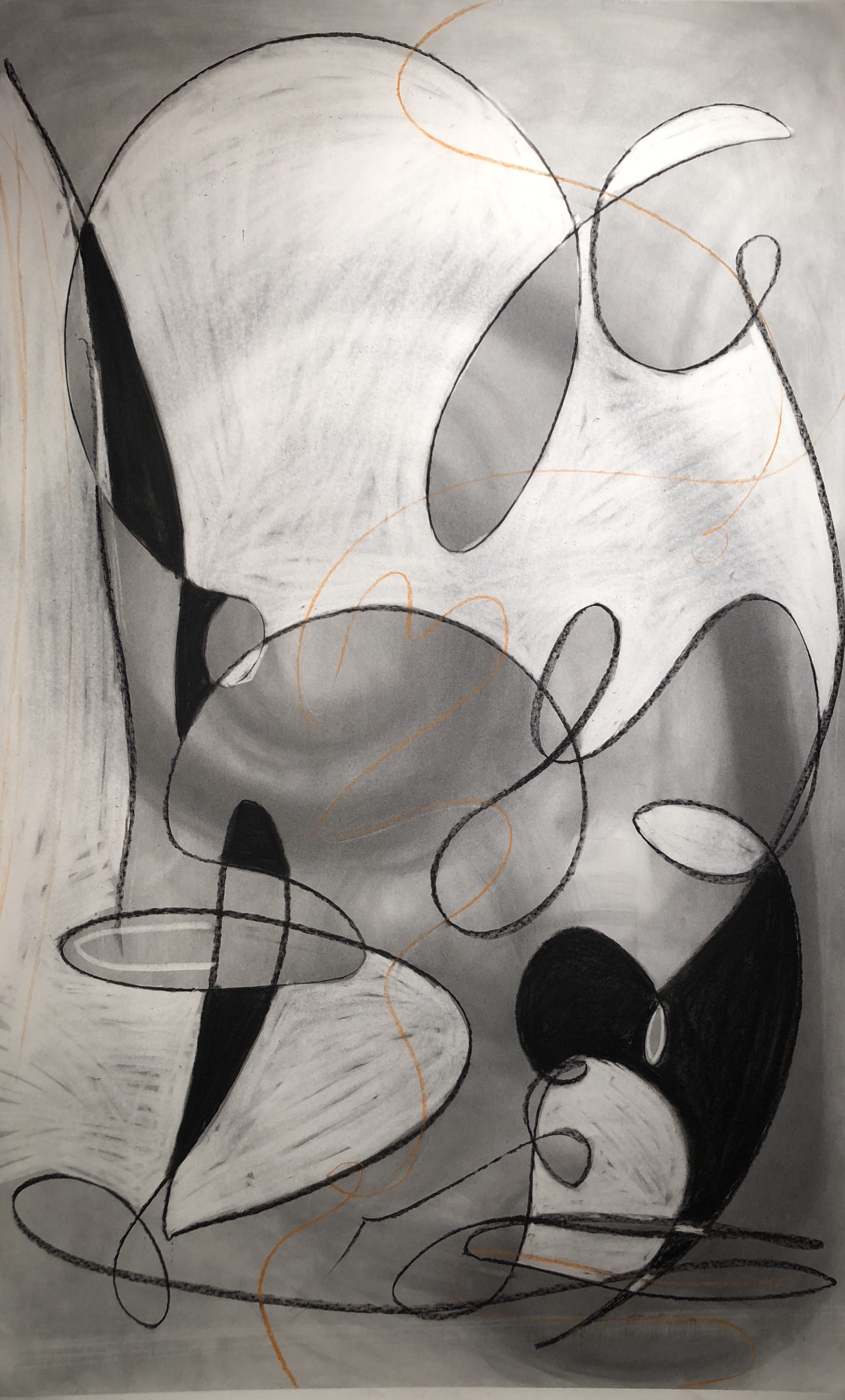 Paris, 54 x 35 inches, charcoal and conte crayon on paper, 2019